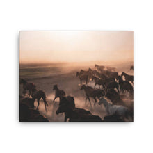 Load image into Gallery viewer, Horse 4 - Canvas