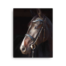 Load image into Gallery viewer, Horse 6 - Canvas