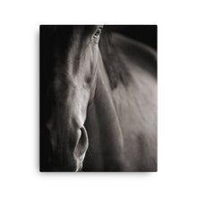 Load image into Gallery viewer, Horse 7 - Canvas