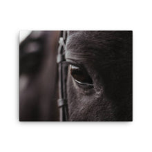 Load image into Gallery viewer, Horse 8 - Canvas