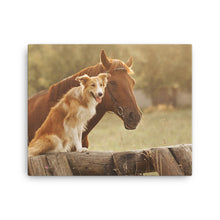 Load image into Gallery viewer, Horse 11 - Canvas