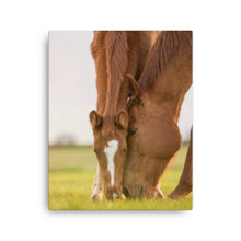 Load image into Gallery viewer, Horse 12 - Canvas