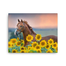 Load image into Gallery viewer, Horse 14 - Canvas