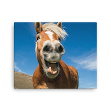 Load image into Gallery viewer, Horse 15 - Canvas