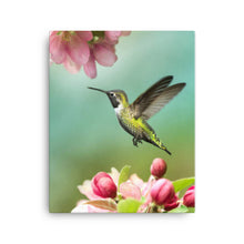 Load image into Gallery viewer, Hummingbird 1 - Canvas