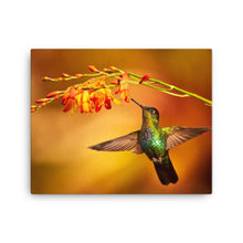 Load image into Gallery viewer, Hummingbird 3 - Canvas