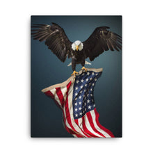 Load image into Gallery viewer, Eagle 1 -  Canvas