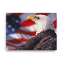 Load image into Gallery viewer, Eagle 2 - Canvas