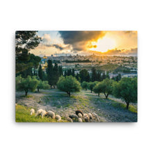 Load image into Gallery viewer, Mount Of Olives - Canvas