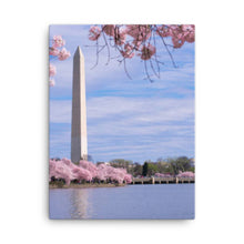 Load image into Gallery viewer, National Monument 2 - Canvas