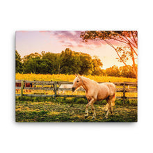 Load image into Gallery viewer, Horse In Kentucky - Canvas