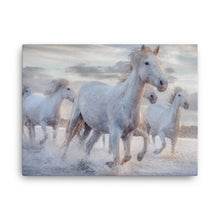 Load image into Gallery viewer, Horse 2 - Canvas