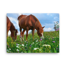 Load image into Gallery viewer, Horse 3 - Canvas