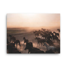 Load image into Gallery viewer, Horse 4 - Canvas