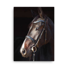 Load image into Gallery viewer, Horse 6 - Canvas
