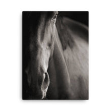 Load image into Gallery viewer, Horse 7 - Canvas