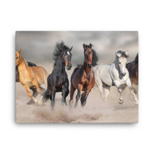 Load image into Gallery viewer, Horse 9 - Canvas