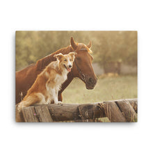 Load image into Gallery viewer, Horse 11 - Canvas