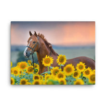 Load image into Gallery viewer, Horse 14 - Canvas