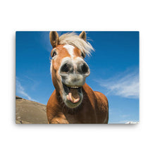 Load image into Gallery viewer, Horse 15 - Canvas