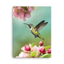 Load image into Gallery viewer, Hummingbird 1 - Canvas