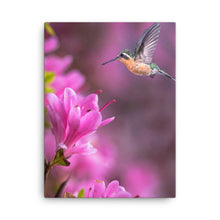 Load image into Gallery viewer, Hummingbird 2 - Canvas
