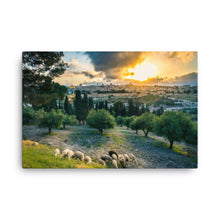 Load image into Gallery viewer, Mount Of Olives - Canvas