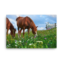 Load image into Gallery viewer, Horse 3 - Canvas