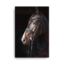 Load image into Gallery viewer, Horse 6 - Canvas