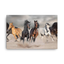 Load image into Gallery viewer, Horse 9 - Canvas