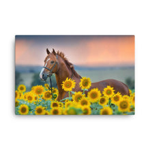 Load image into Gallery viewer, Horse 14 - Canvas