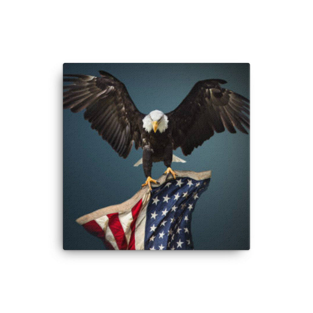 Eagle 1 -  Canvas