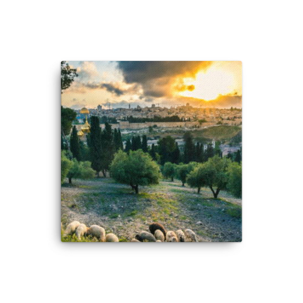 Mount Of Olives - Canvas