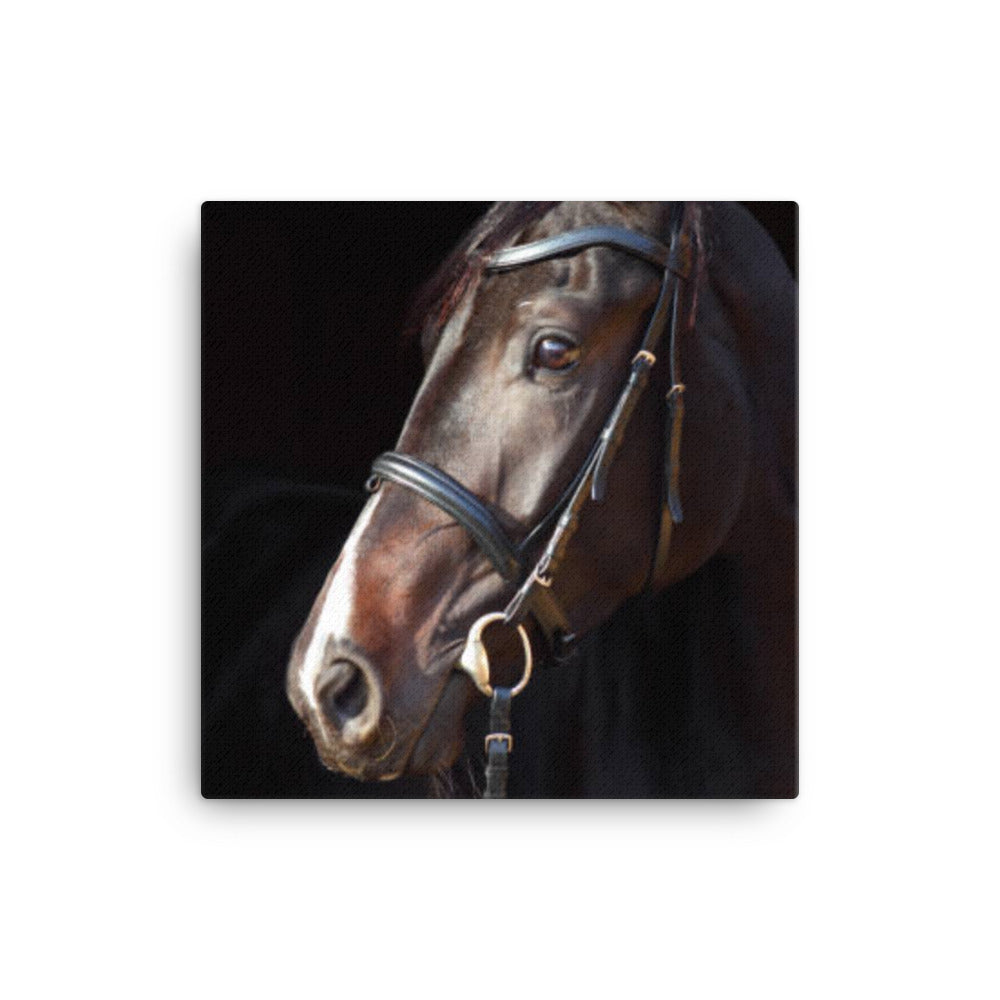 Horse 6 - Canvas