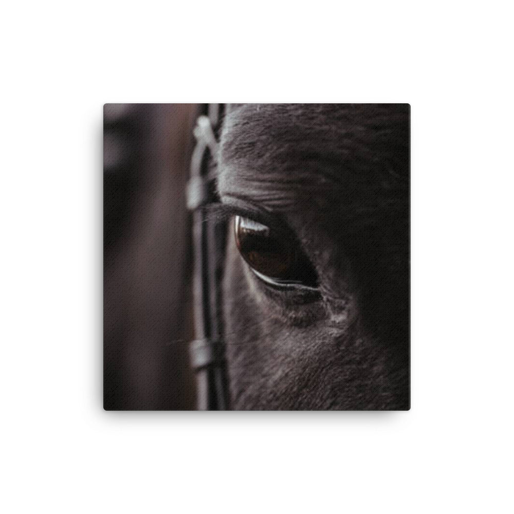 Horse 8 - Canvas