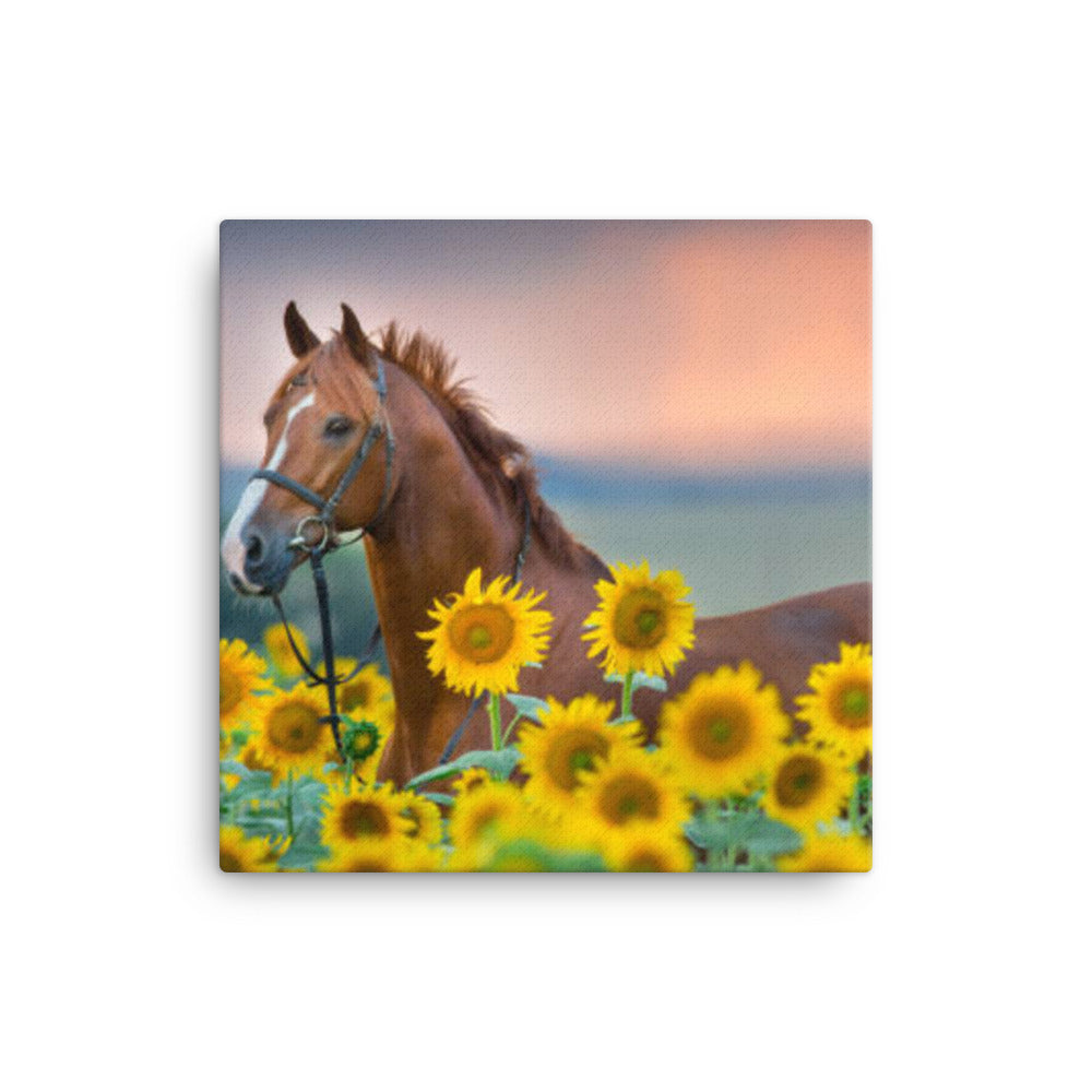 Horse 14 - Canvas