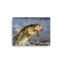Load image into Gallery viewer, Fish 1 - Canvas
