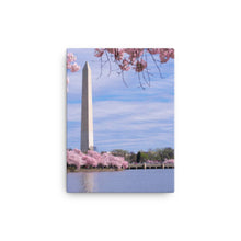 Load image into Gallery viewer, National Monument 2 - Canvas
