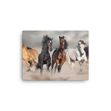 Load image into Gallery viewer, Horse 9 - Canvas
