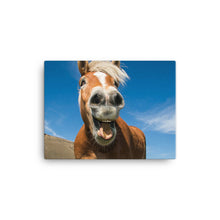 Load image into Gallery viewer, Horse 15 - Canvas
