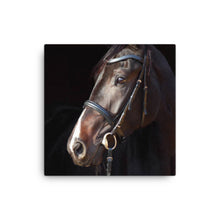 Load image into Gallery viewer, Horse 6 - Canvas

