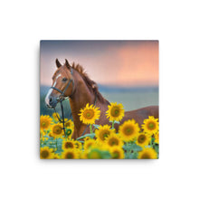 Load image into Gallery viewer, Horse 14 - Canvas
