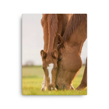 Load image into Gallery viewer, Horse 12 - Canvas
