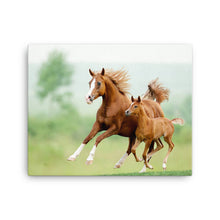 Load image into Gallery viewer, Horse 13 - Canvas
